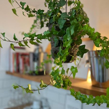 Charming Appartement In The Heart Of Барселона Екстериор снимка
